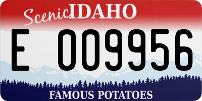 ID license plate E009956