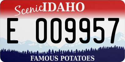ID license plate E009957