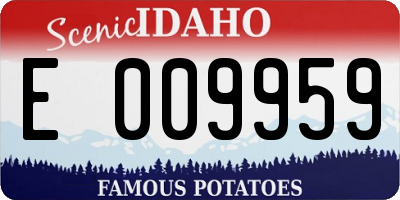 ID license plate E009959