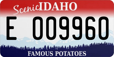 ID license plate E009960
