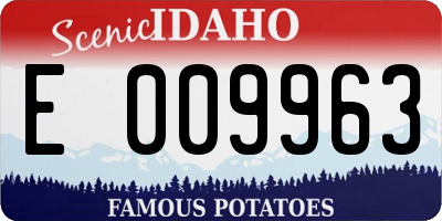 ID license plate E009963