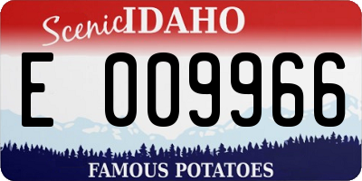ID license plate E009966
