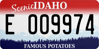 ID license plate E009974