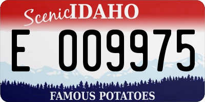 ID license plate E009975