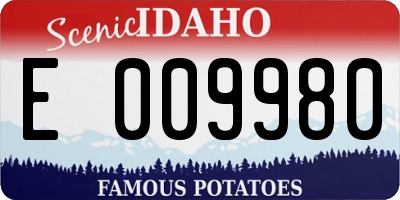 ID license plate E009980