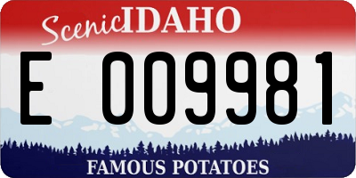 ID license plate E009981