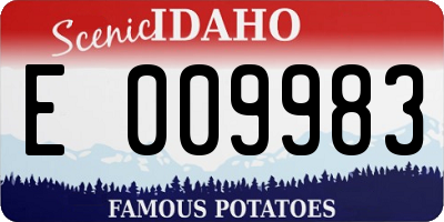 ID license plate E009983