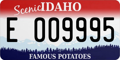 ID license plate E009995