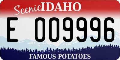 ID license plate E009996
