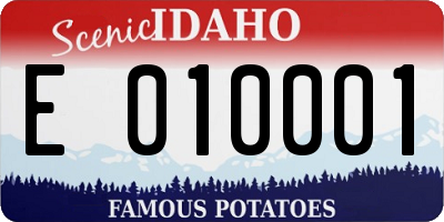 ID license plate E010001