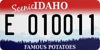 ID license plate E010011