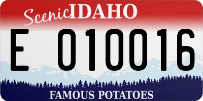 ID license plate E010016