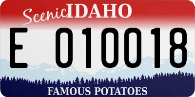 ID license plate E010018