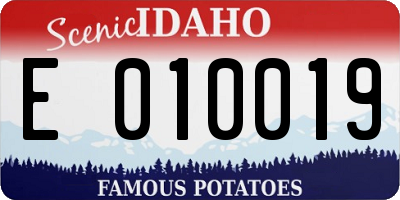 ID license plate E010019