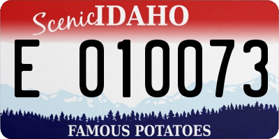 ID license plate E010073