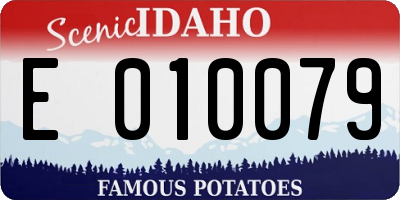 ID license plate E010079