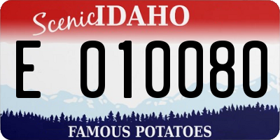 ID license plate E010080