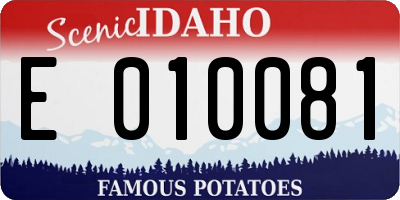 ID license plate E010081