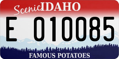 ID license plate E010085