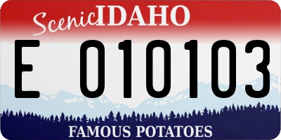 ID license plate E010103