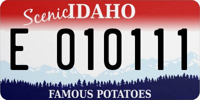 ID license plate E010111