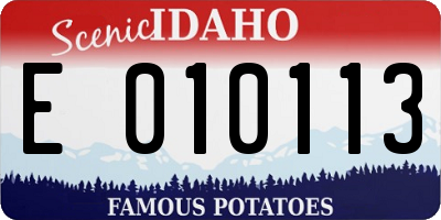 ID license plate E010113