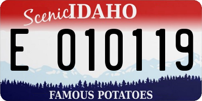 ID license plate E010119