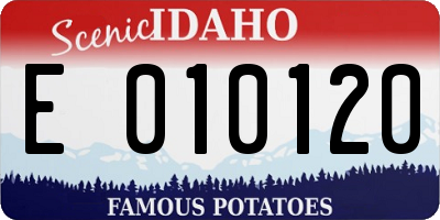 ID license plate E010120