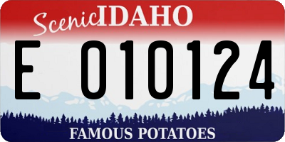 ID license plate E010124