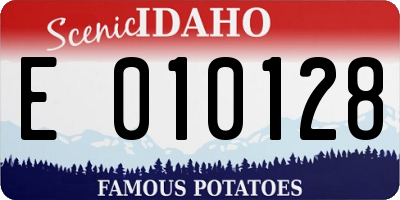 ID license plate E010128