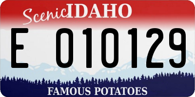 ID license plate E010129