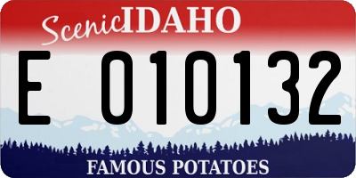 ID license plate E010132