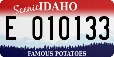 ID license plate E010133