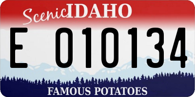 ID license plate E010134