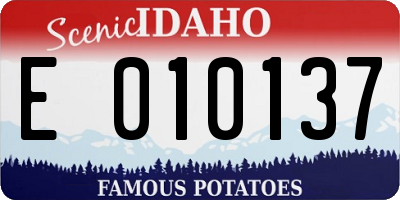 ID license plate E010137