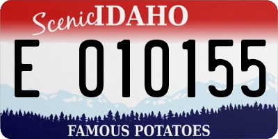 ID license plate E010155