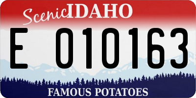 ID license plate E010163