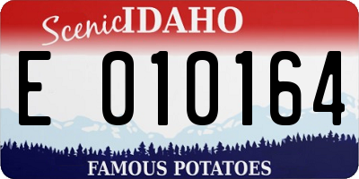 ID license plate E010164