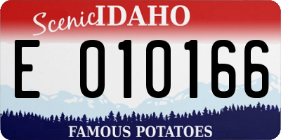 ID license plate E010166