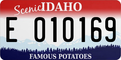 ID license plate E010169