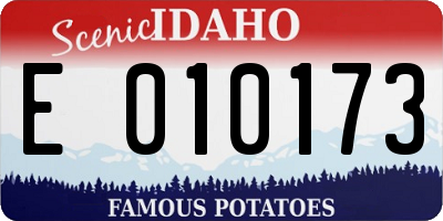 ID license plate E010173