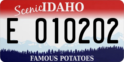 ID license plate E010202