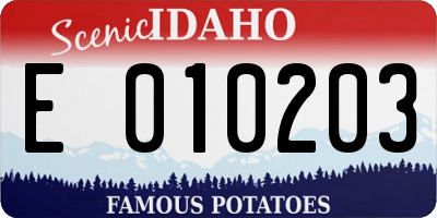 ID license plate E010203