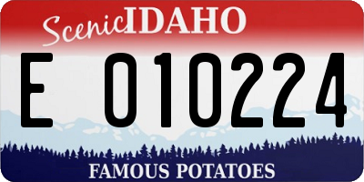 ID license plate E010224