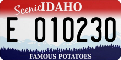 ID license plate E010230