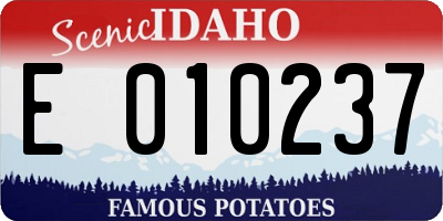 ID license plate E010237