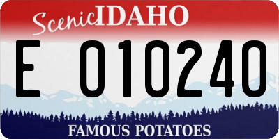 ID license plate E010240