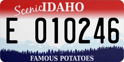 ID license plate E010246