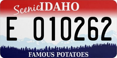 ID license plate E010262