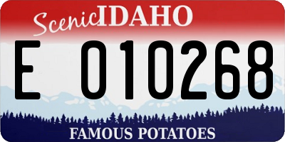 ID license plate E010268